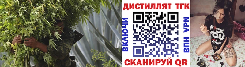 Купить  Камызяк  ТГК THC oil 