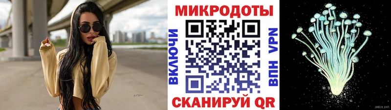 Купить закладки  Камызяк  Галлюциногенные грибы Magic Shrooms 